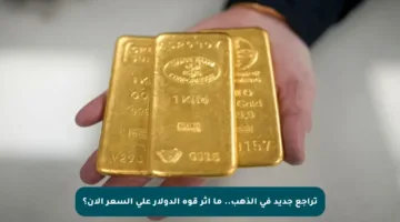 تراجع جديد في الذهب.. ما أثر قوة الدولار على السعر الآن؟